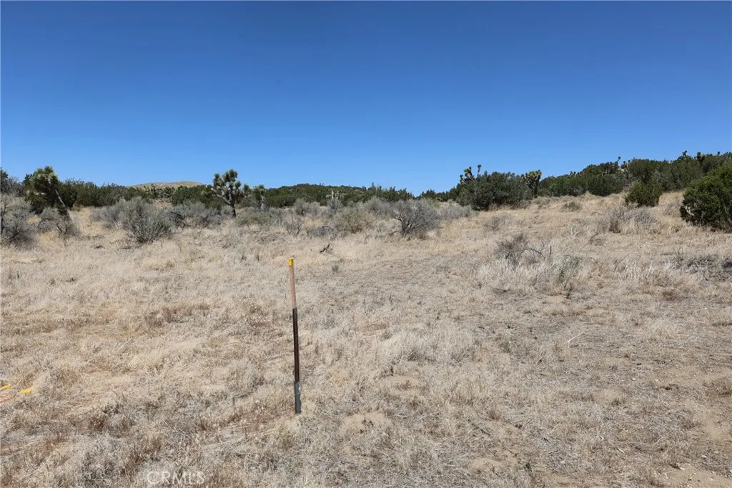 Pearblossom, California 93553, United States, ,Land,Active,168415