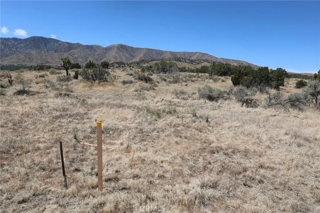 Pearblossom, California 93553, United States, ,Land,Active,168415