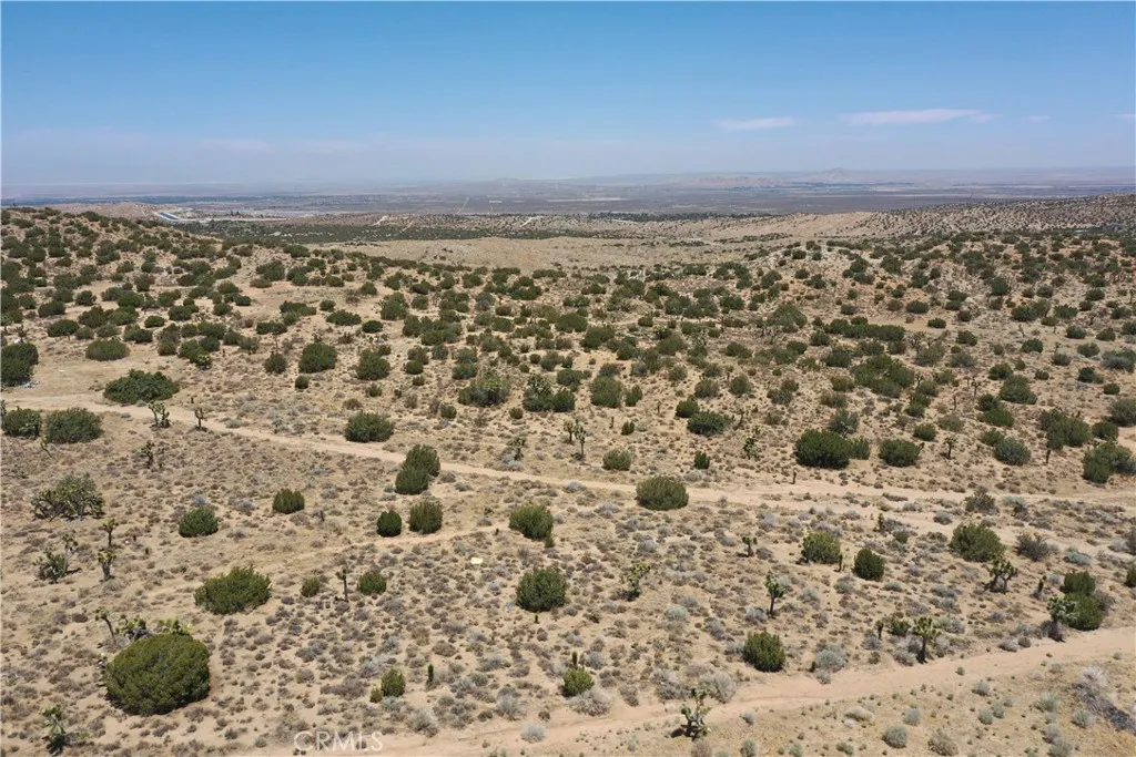 Pearblossom, California 93553, United States, ,Land,Active,168415