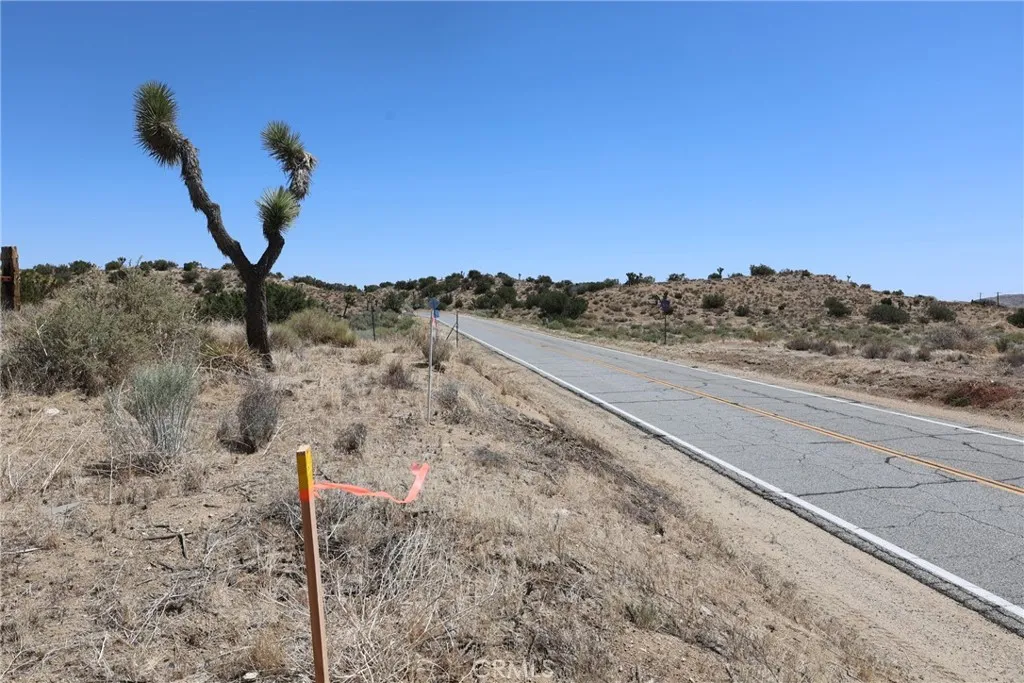 Pearblossom, California 93553, United States, ,Land,Active,168415