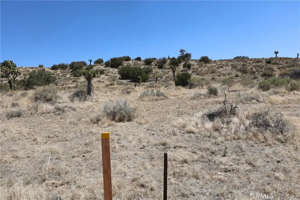 Pearblossom, California 93553, United States, ,Land,Active,168415