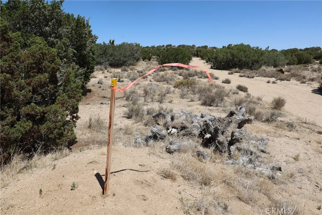 Pearblossom, California 93553, United States, ,Land,Active,168415