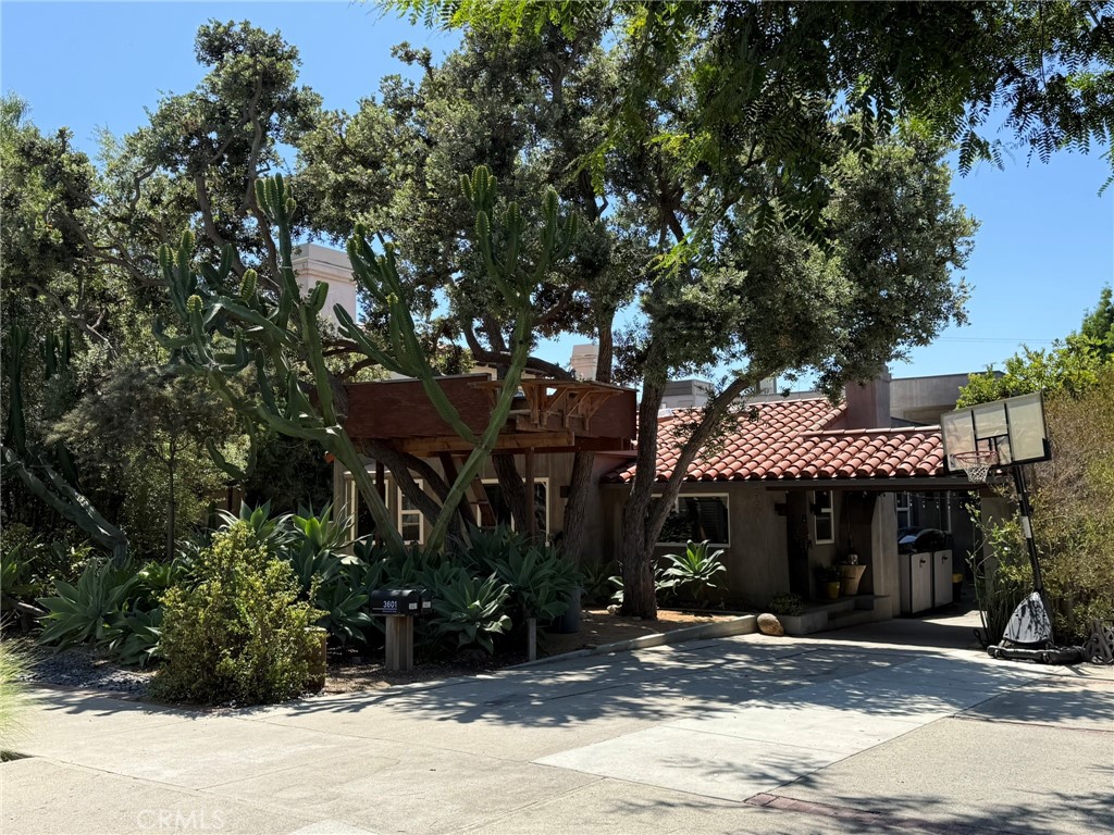 Home Sweet Home.
A special single-family home nestled in the heart of Mar Vista's best neighborhood. Enjoy the perfect blend of comfort, community, and convenience. Located just minutes from the local farmers market, shopping centers, parks, and with easy freeway access.
This home puts everything within reach. Step outside to a spacious backyard featuring a built-in BBQ, mature fruit trees, and breathtaking ocean views. Feel the ocean breeze year-round, your personal slice of paradise. Inside, the home offers central A/C, drinking water filtration system, and optional furniture pieces to make moving in even easier. A beautiful Fireplace and lots of windows around the house with a beautiful garden view.