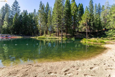 Tiny photo for 23593 Lakewood Dr DR, Twain Harte, CA 95383 (MLS # 41151585)