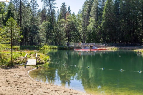 Tiny photo for 23593 Lakewood Dr DR, Twain Harte, CA 95383 (MLS # 41151585)
