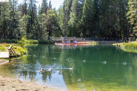 Tiny photo for 23593 Lakewood Dr DR, Twain Harte, CA 95383 (MLS # 41151585)