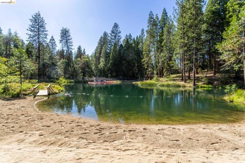 Tiny photo for 23593 Lakewood Dr DR, Twain Harte, CA 95383 (MLS # 41151585)