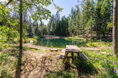 Tiny photo for 23593 Lakewood Dr DR, Twain Harte, CA 95383 (MLS # 41151585)