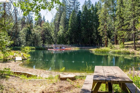 Tiny photo for 23593 Lakewood Dr DR, Twain Harte, CA 95383 (MLS # 41151585)