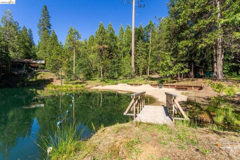 Tiny photo for 23593 Lakewood Dr DR, Twain Harte, CA 95383 (MLS # 41151585)