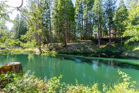 Tiny photo for 23593 Lakewood Dr DR, Twain Harte, CA 95383 (MLS # 41151585)