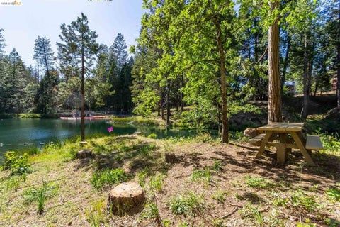 Tiny photo for 23593 Lakewood Dr DR, Twain Harte, CA 95383 (MLS # 41151585)