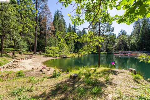 Tiny photo for 23593 Lakewood Dr DR, Twain Harte, CA 95383 (MLS # 41151585)