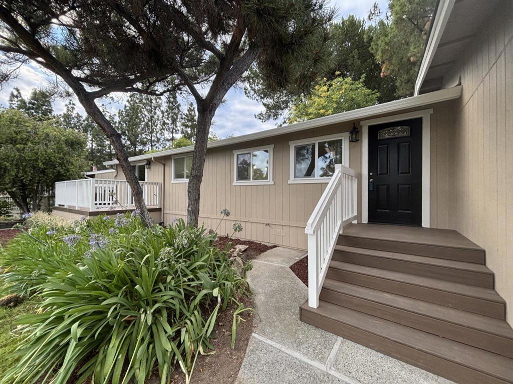 260 Mountain Springs Drive 260