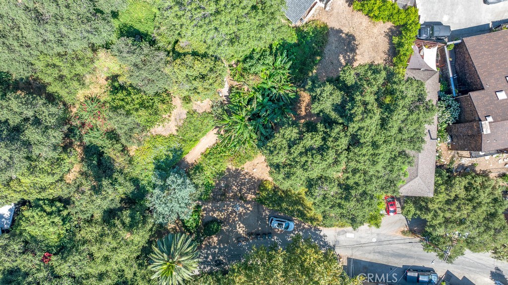 487 Woodland