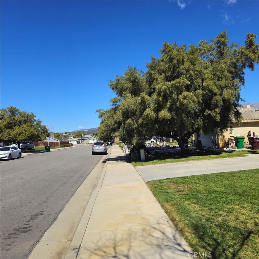 1650 Ravenswood Road