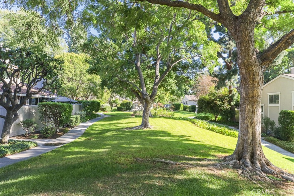 Green Tree - Residential