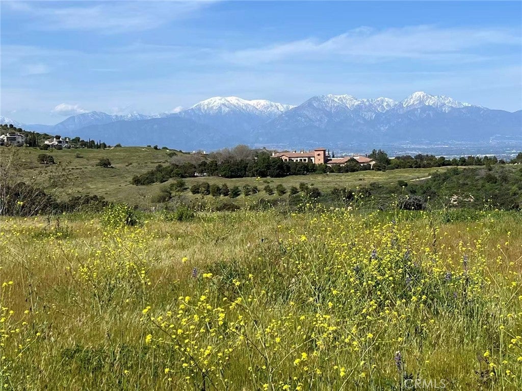 2275 Verona Court