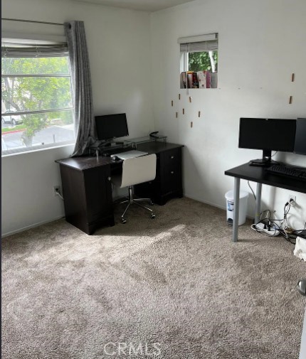 Windsong (WS) - Residential Lease