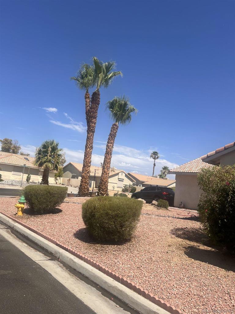 33932 Shady Palms Cir