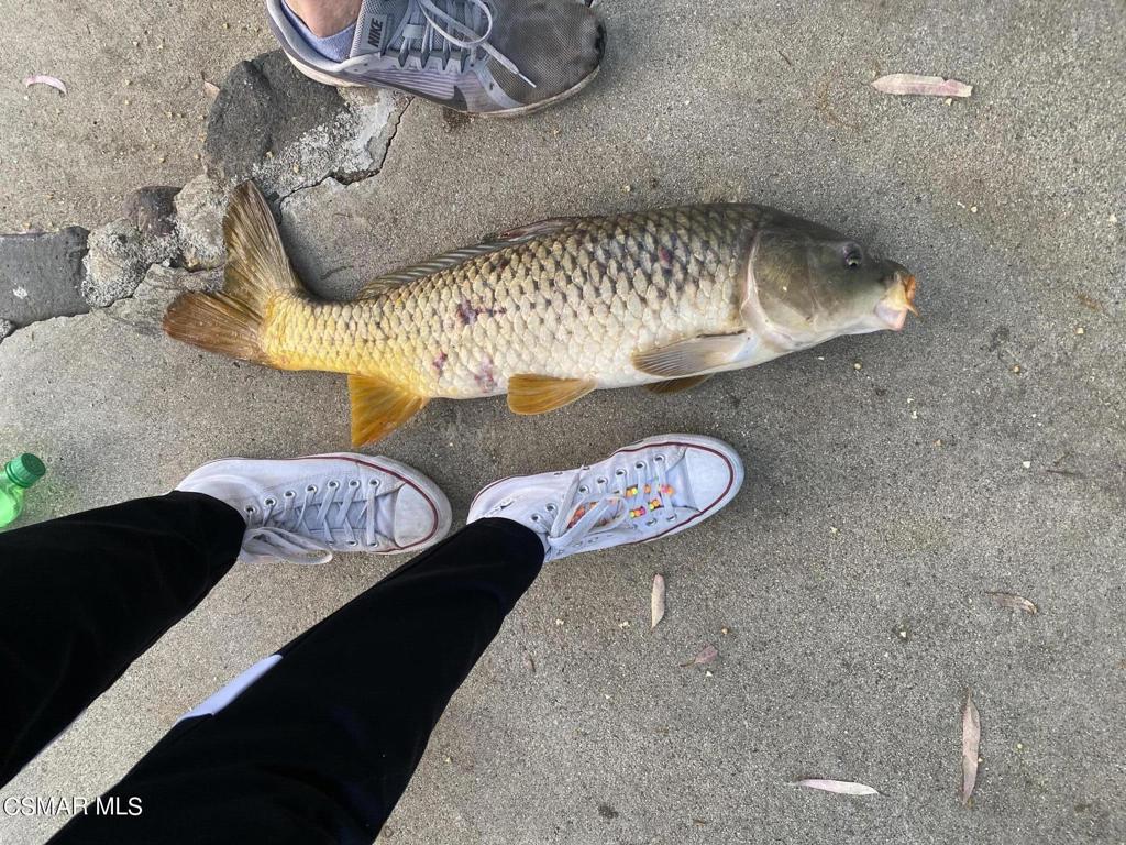 Malibu Lake Mountain Club-894 - 894 - Land