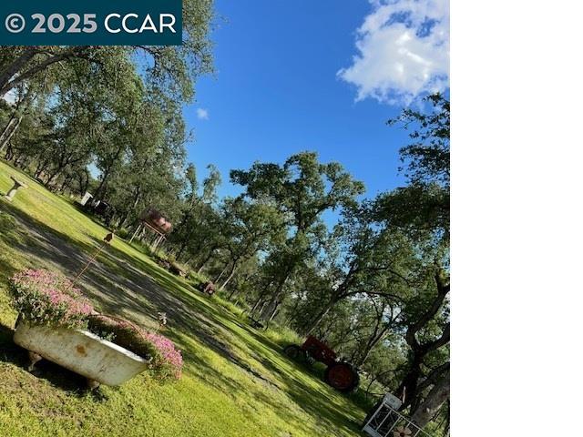 5098 Cantle Road