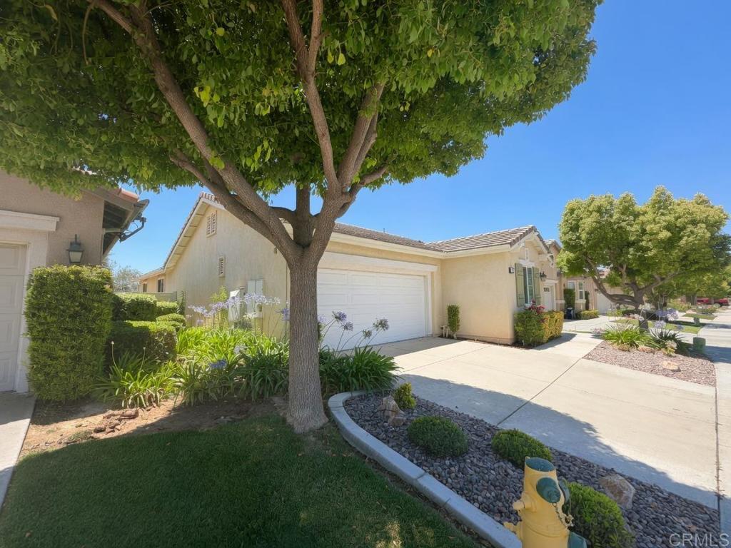 367 Shining Rock