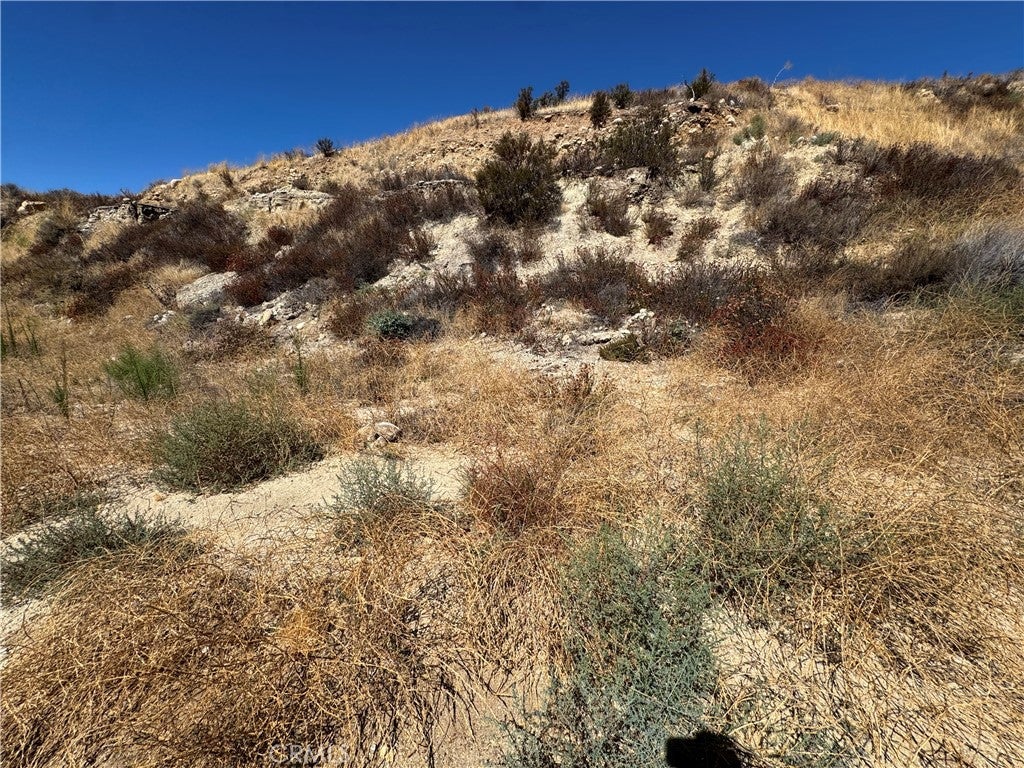 0 Golden Valley & Sierra Hwy