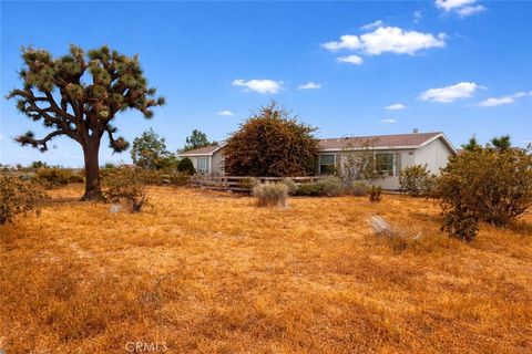 Photo of 10133 Olivine Rd, Victorville, CA 92392 (MLS # CV26082700)