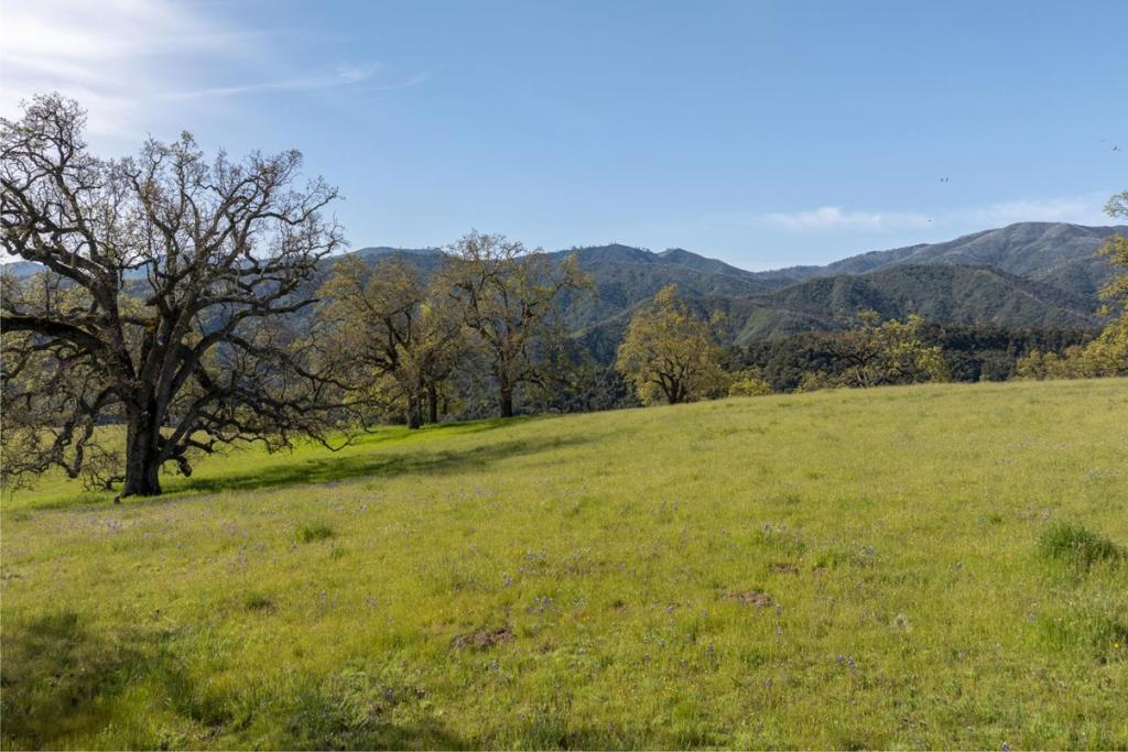 16 Long Ridge Trail (Lot 233)
