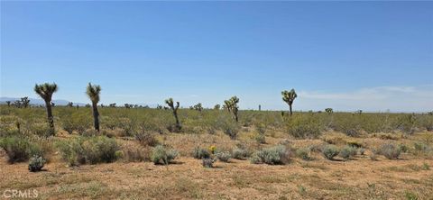 Photo of 0 173rd E W-12, Llano, CA 93544 (MLS # SR26057908)