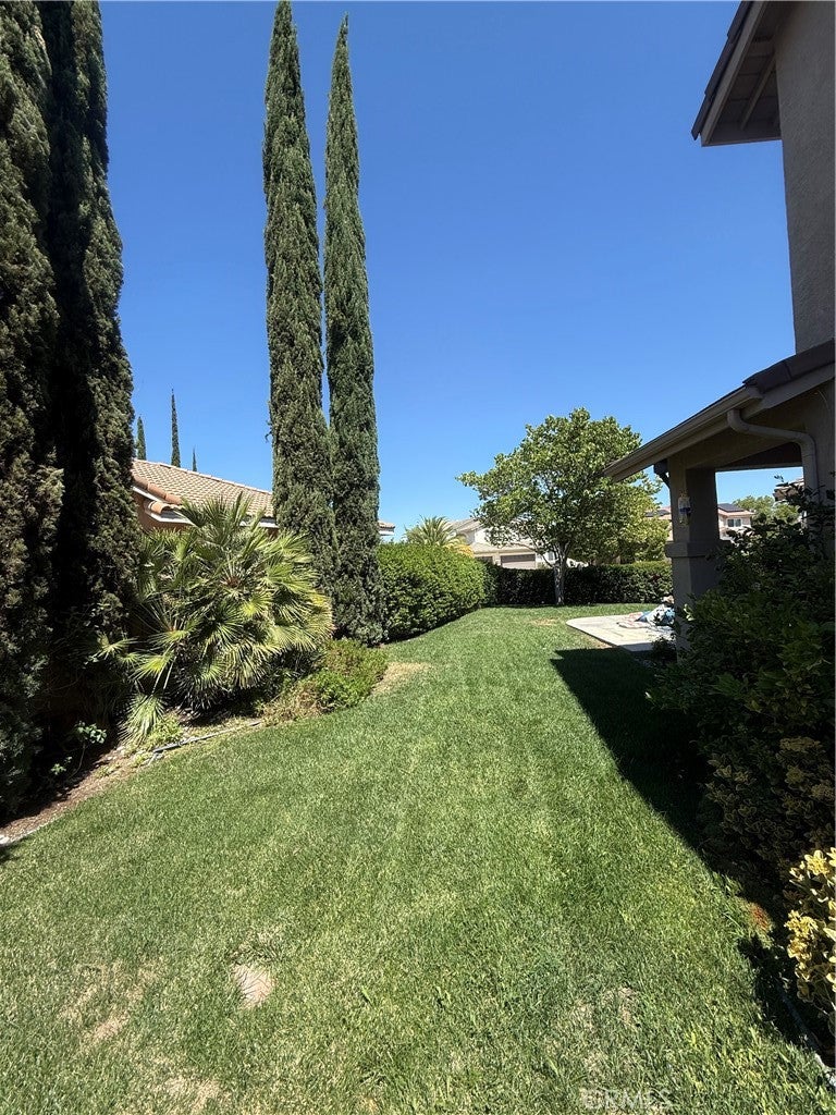 42482 Circulo Cavinara