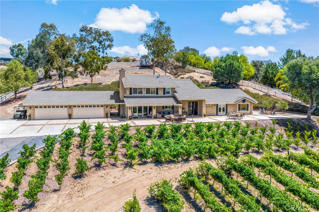 33612 Vino Way