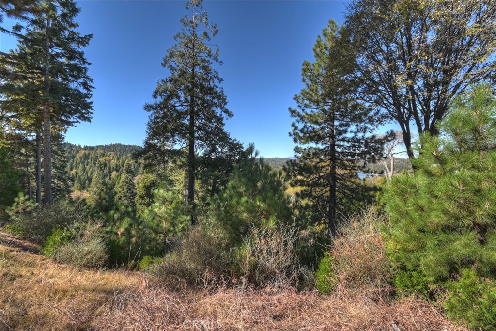 Arrowhead Woods (AWHW) - Land