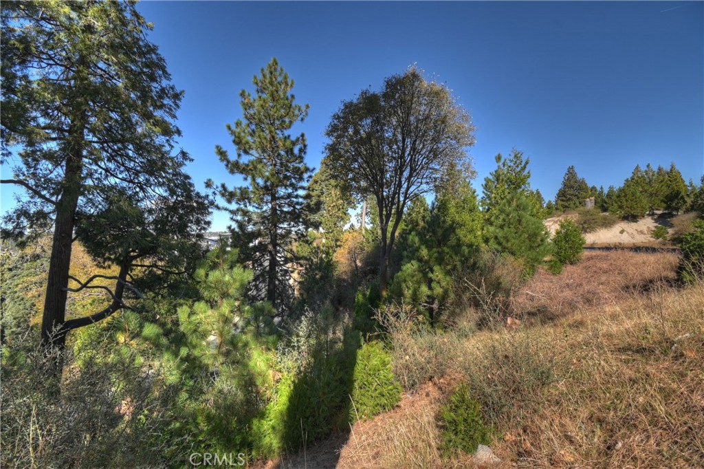 Arrowhead Woods (AWHW) - Land