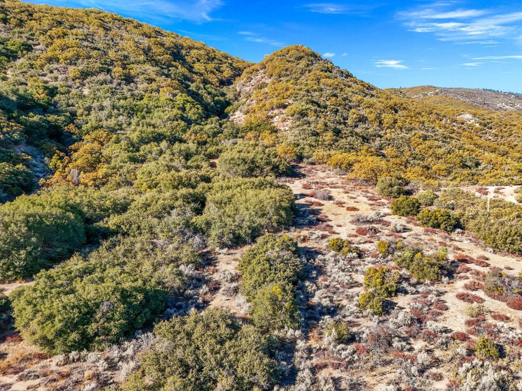 Garner Valley - Land