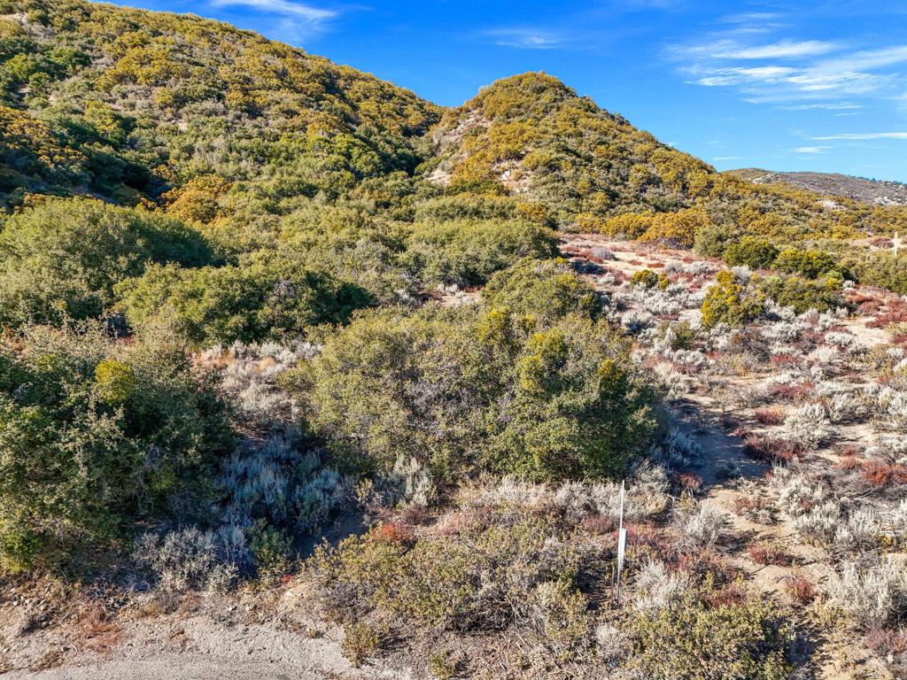 Garner Valley - Land