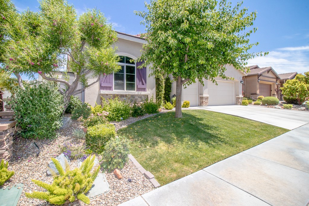 464 Whitney Peak