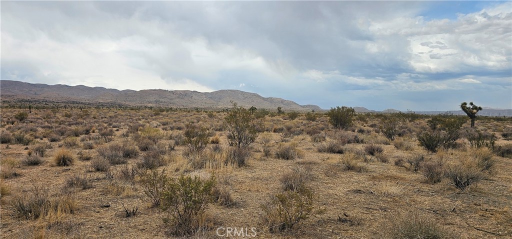 Investment? Ranch? Country Home? At the foothills of the Tehachapi Range. Beautiful area. Clean and roads travel easy.