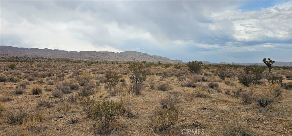 Investment? Ranch? Country Home? At the foothills of the Tehachapi Range. Beautiful area. Clean and roads travel easy.
