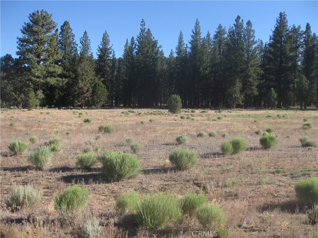 2818 Erwin Ranch Road