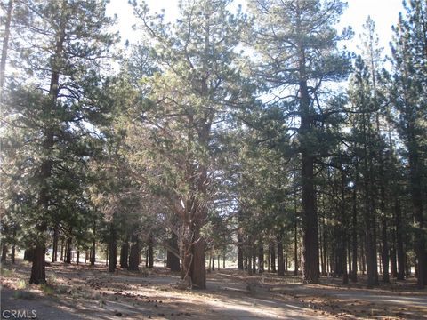 2818 Erwin Ranch Road Big Bear City CA 92314