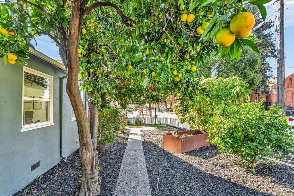 BROADMOOR - Residential