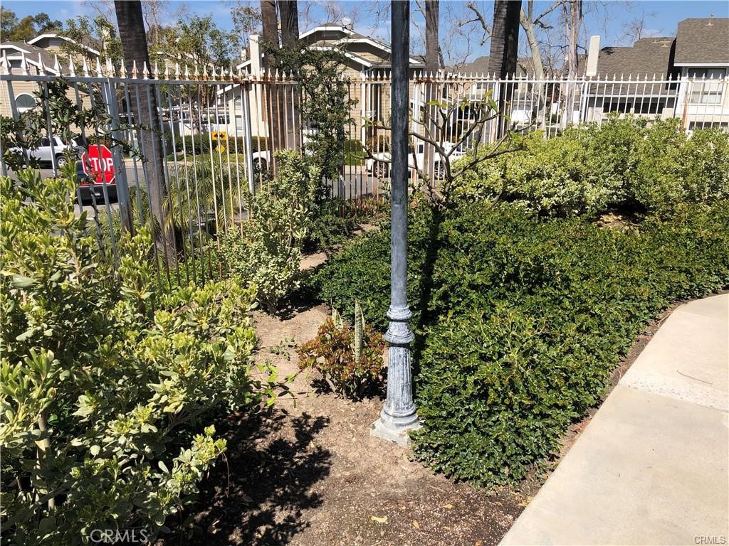 Las Palmas (BLP) - Residential Lease