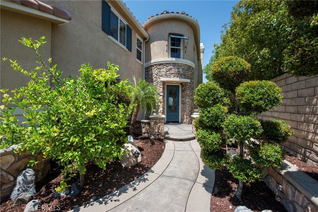 17413 Dove Willow