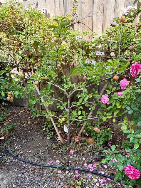 Tiny photo for 1769 Singletree Court, San Luis Obispo, CA 93405 (MLS # SC26207103)