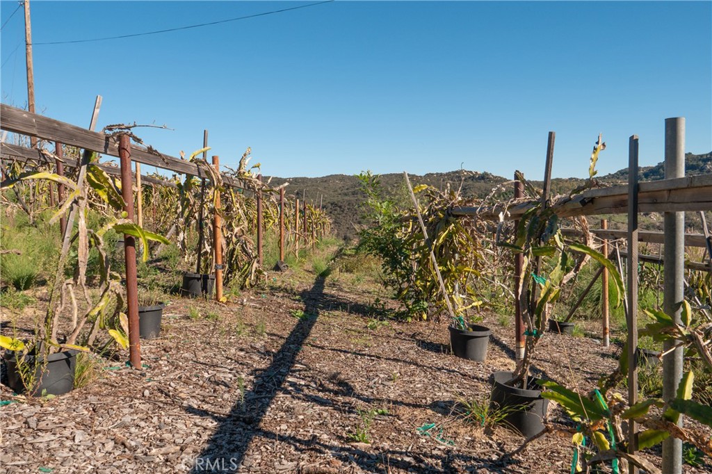 Fallbrook - Residential