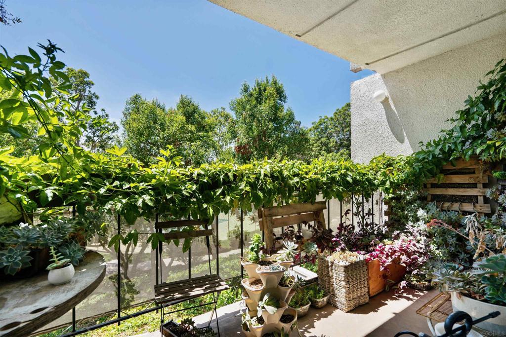 Point Loma - Residential