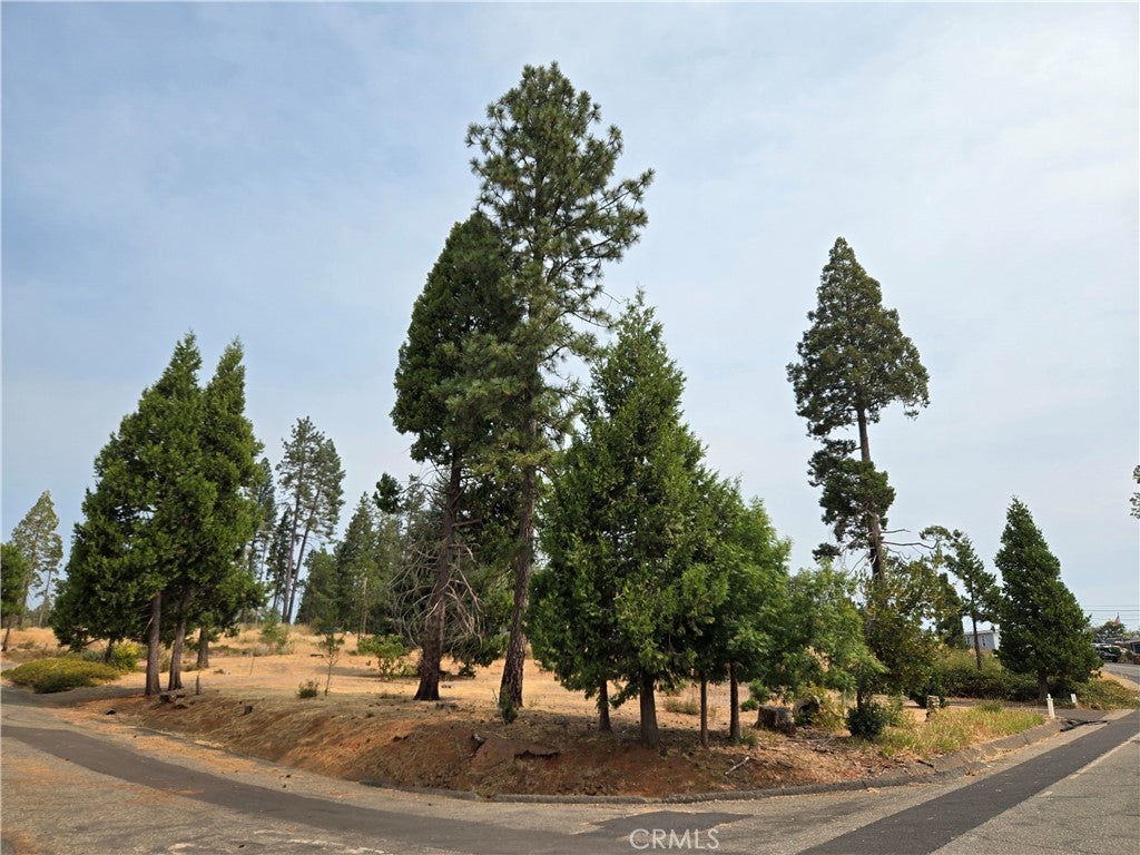 13549 S Park