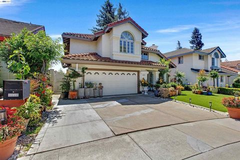 Photo of 3374 Brook Leaf Ct Ct, San Jose, CA 95132 (MLS # 41132286)